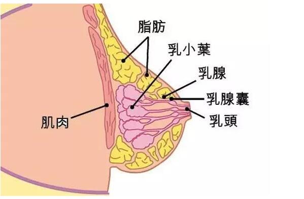 1618035727223606.jpg QQ截圖20210410141849.jpg