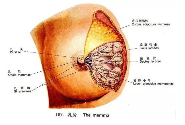 1618035754173813.jpg QQ截圖20210410141859.jpg