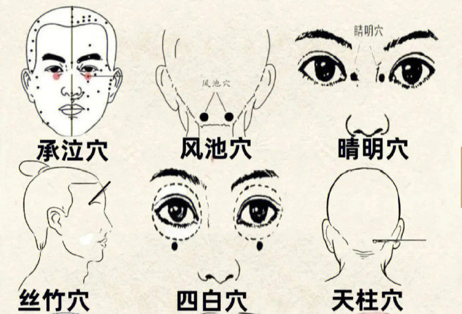 南寧皮膚管理培訓(xùn)班：九個(gè)護(hù)眼部位 ??